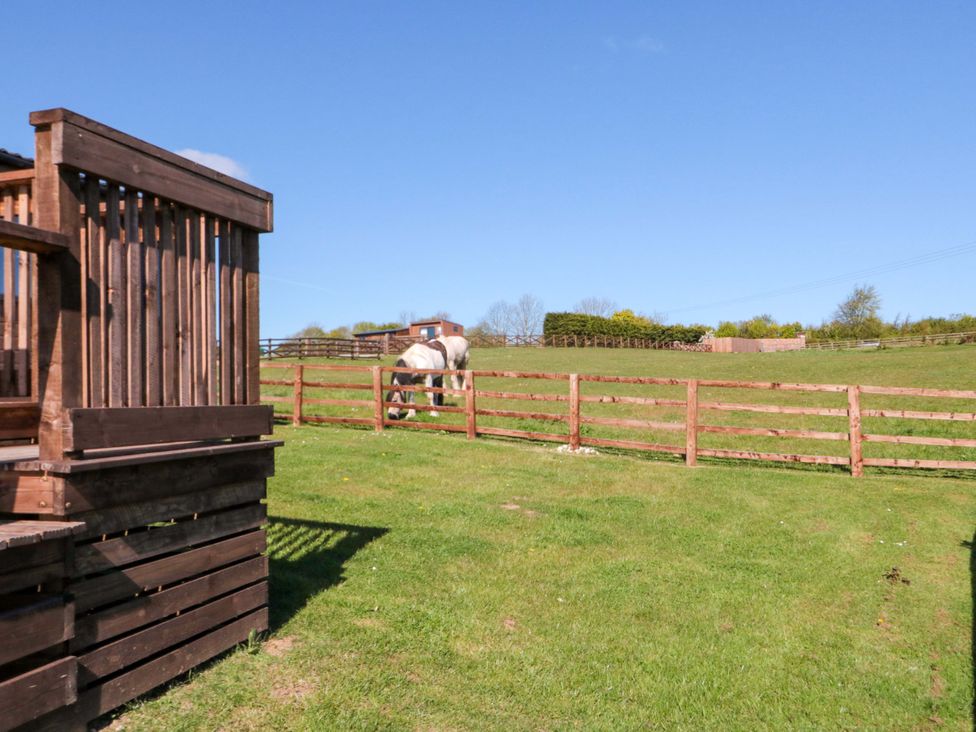 An outdoor area with a horse grazing near a wooden fence at Sage Sanctuary in Whitby
