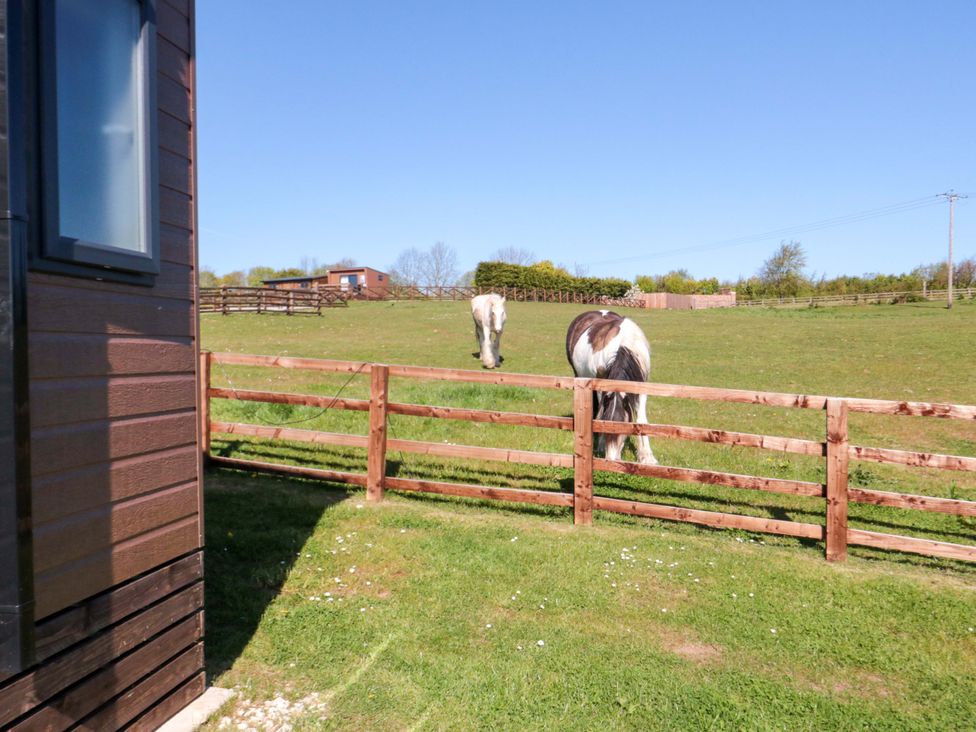 Two horses in a field near a wooden fence at Sage Sanctuary in Whitby