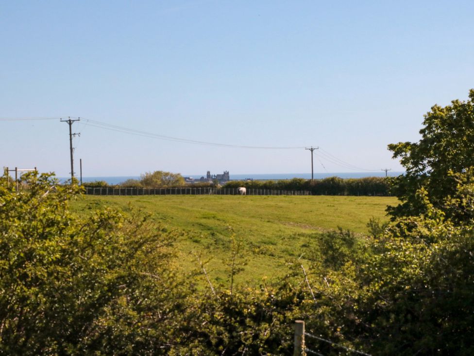 A field with a horse and view of the sea at Sage Sanctuary in Whitby