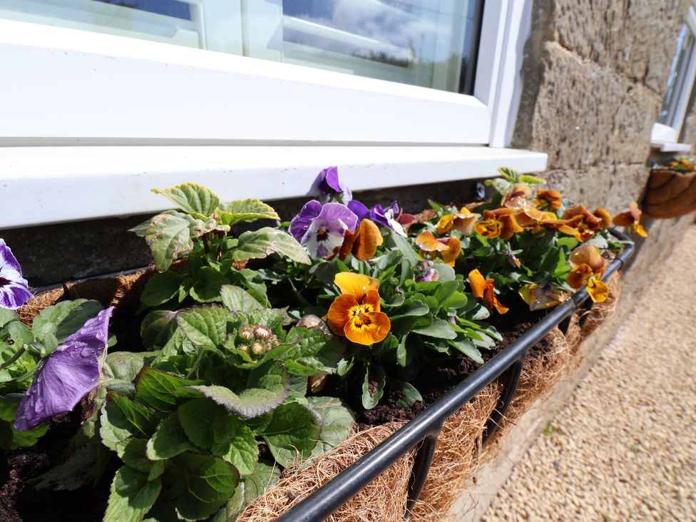 A flowerbox with pansies and soil beside a window at Little Holm Garth