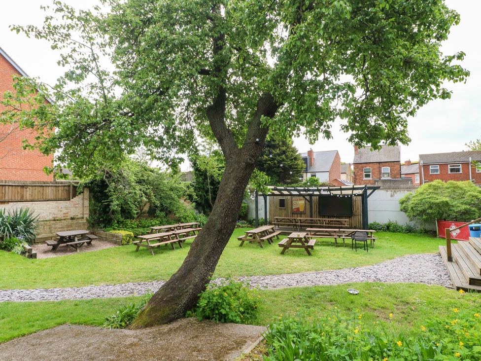 A garden with picnic tables and a tree at 57 Abbey Street