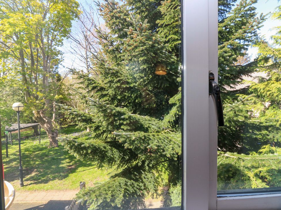 A view of trees and a lamp post from a window at Apartment 1 in Dyce