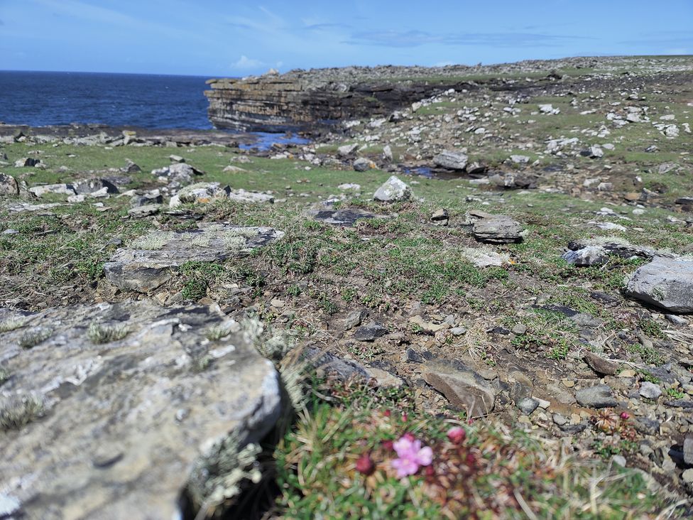 A coastal landscape with rocks and grass at Lower Hammerfield Rousay, Orkney Islands