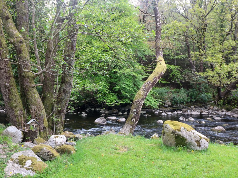A river with trees and rocks at The Mews @ Suskar, Laragh, County Wicklow