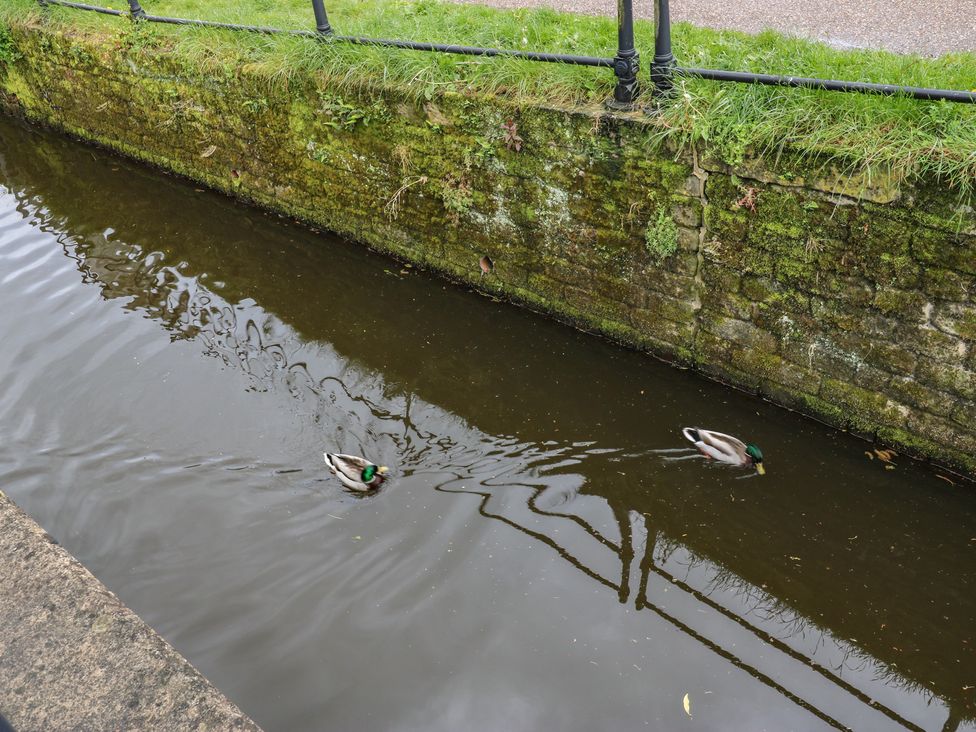Ducks swimming in a canal at No.1 Spa Mill Lodge, Slaithwaite