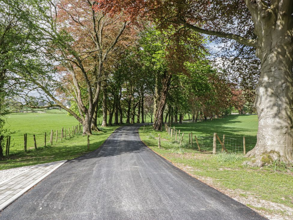 A winding road surrounded by trees and grass at Brettargh Holt Mansion near Levens