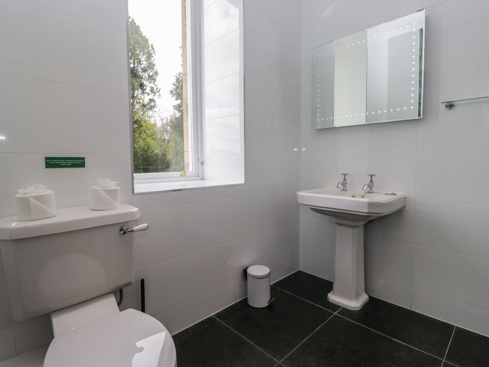 A bathroom with a toilet and sink at Brettargh Holt Mansion 32 near Levens