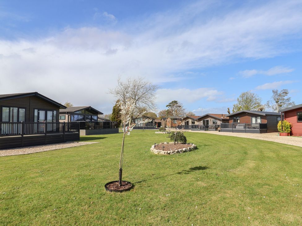 An outdoor area with holiday homes and landscaping at Hazelwood 3 Pinewood Retreat in Rousdon near Lyme Regis