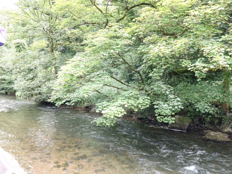 A river with trees and foliage beside it at The Barn in 