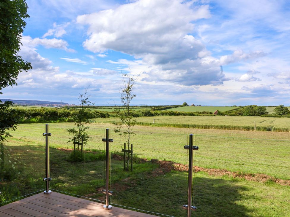An outdoor view with grass and trees at Freedom Lodge @ Summerfield Farm in Whitby