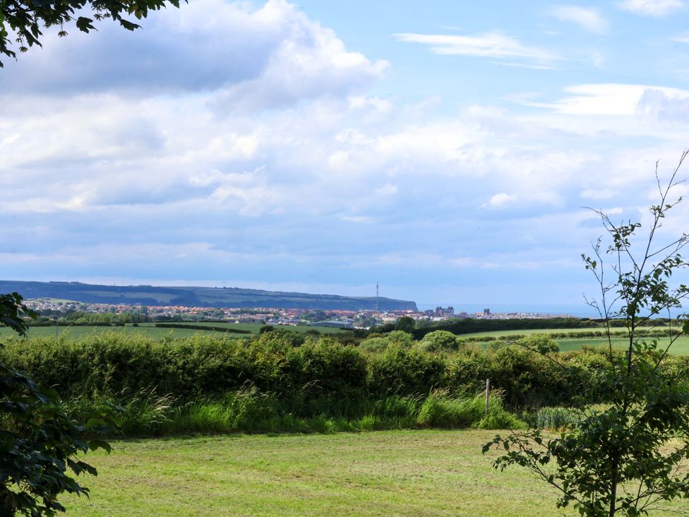 An outdoor view with grass and trees at Freedom Lodge @ Summerfield Farm in Whitby