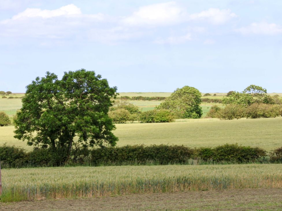 A tree and field on a landscape at Freedom Lodge @ Summerfield Farm Whitby