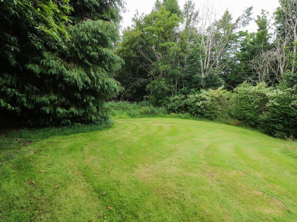 A green garden area with trees and bushes at Gardener’s cottage in Stanley