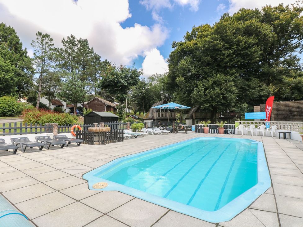 An outdoor swimming pool surrounded by sun loungers at Honeycombe Lodge