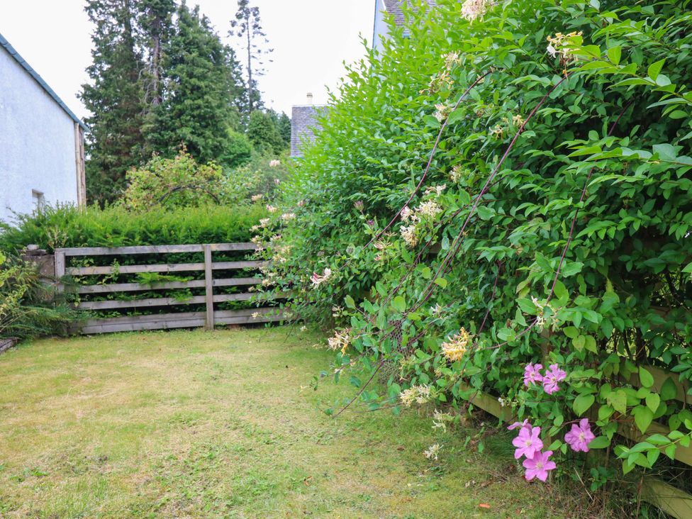 A garden with grass, bushes, flowers, and a wooden fence at West House in Perth