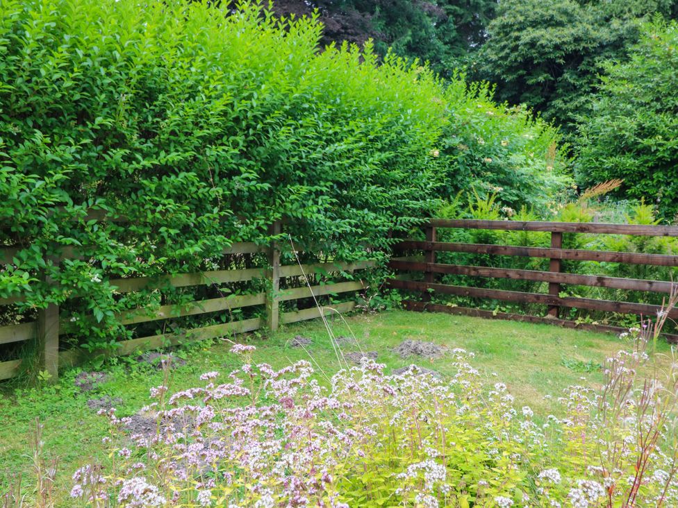 A garden with a fence and flowering plants at West House in Perth