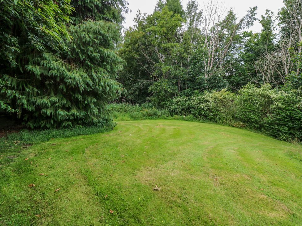 A grassy area surrounded by trees at West House in Stanley