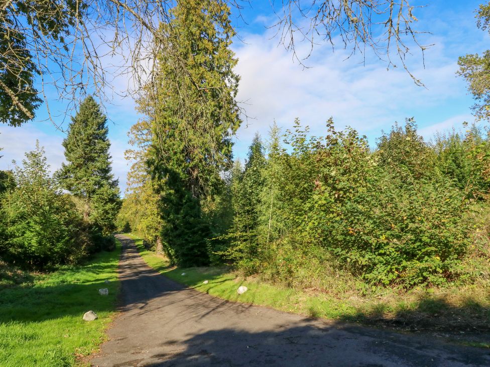 A path surrounded by trees and grass with a blue sky at West House in Stanley