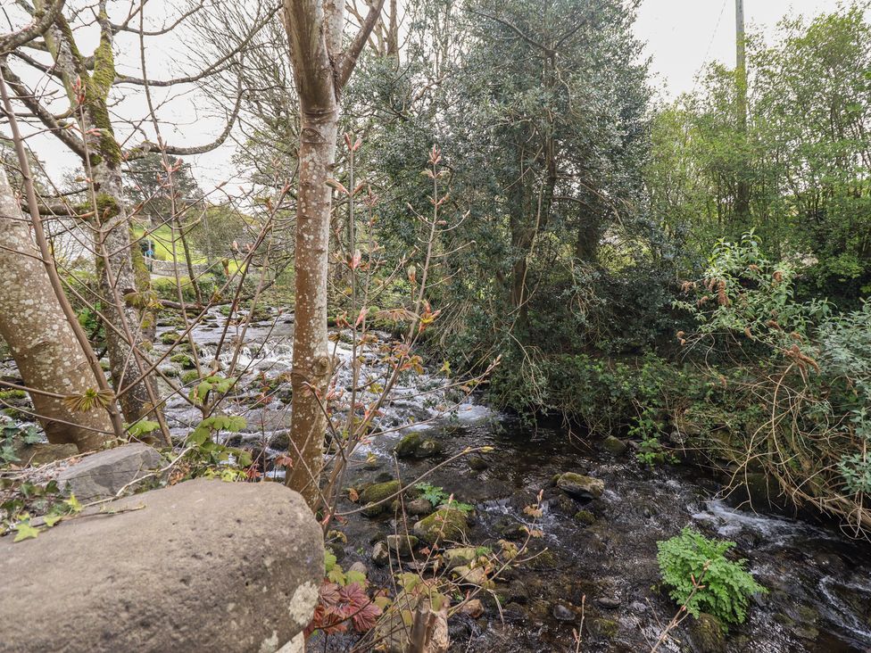 A stream surrounded by trees and plants at Glanrafon