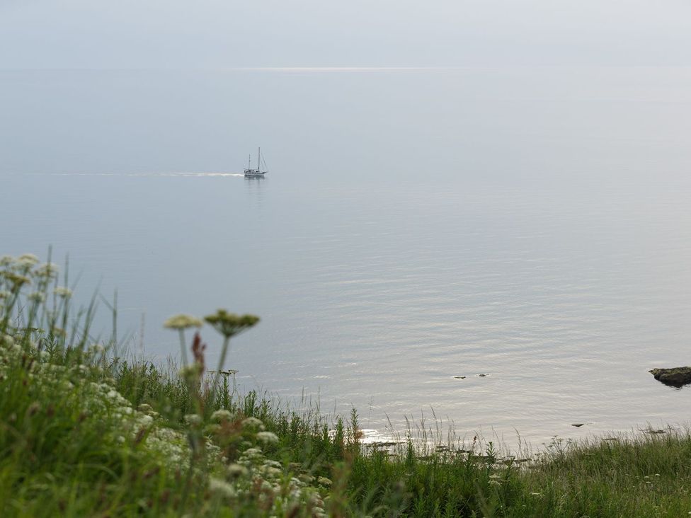 A boat on the ocean near grass and flowers at Admirals home 