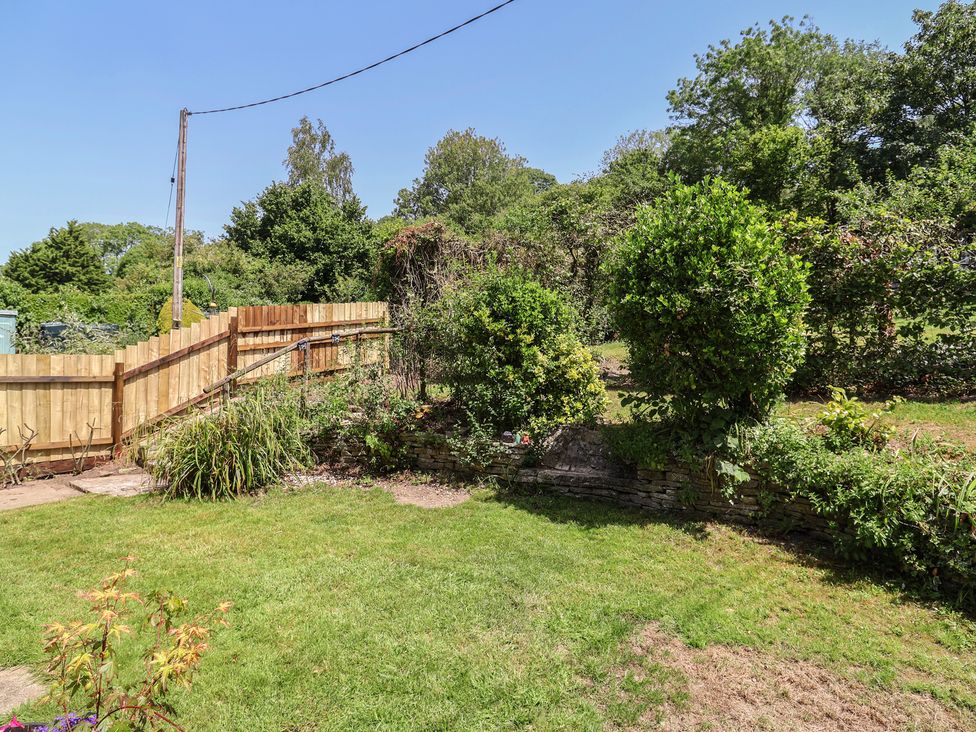 A garden with grass and a wooden fence at Tane in Winterborne Stickland