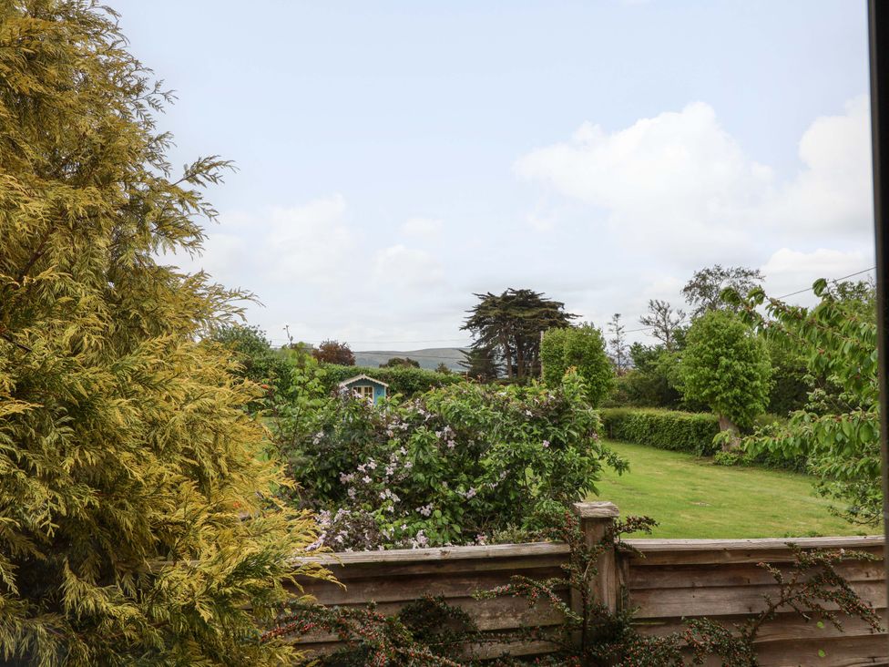 A garden with trees and hedge at 26 Five Bells Watchet