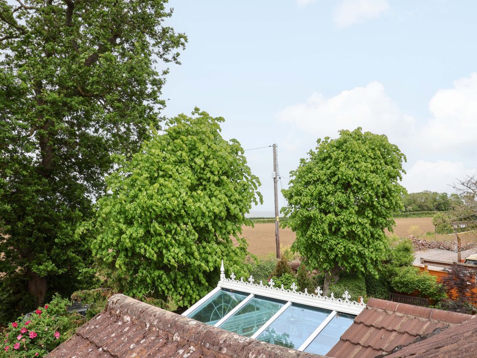 A view of trees and a field from a rooftop at 26 Five Bells in Watchet