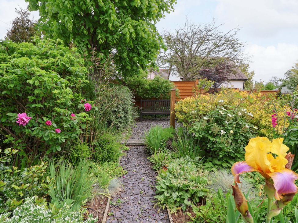 A garden with a bench and flowers at 26 Five Bells, Watchet