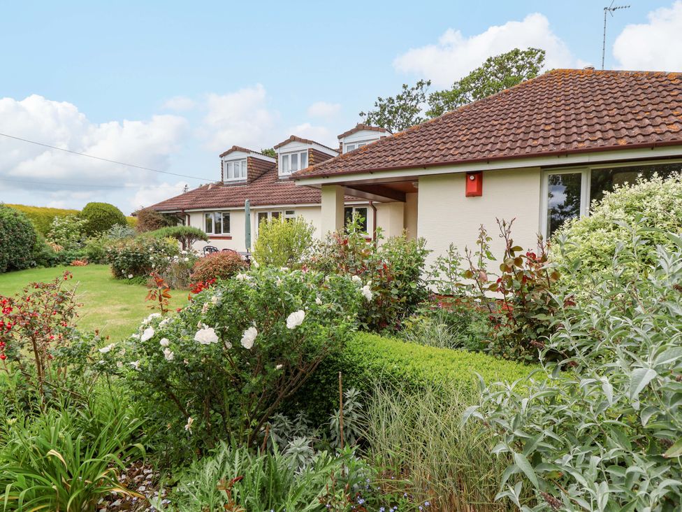 A house with a garden and flowers at 26 Five Bells, Watchet
