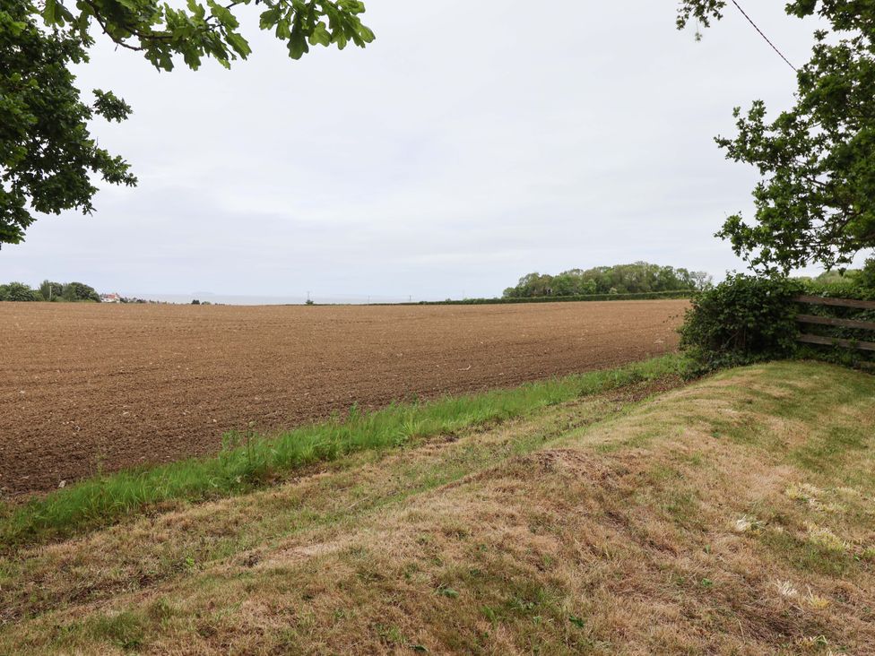 An outdoor view of a field with trees and a fence at 26 Five Bells in Watchet