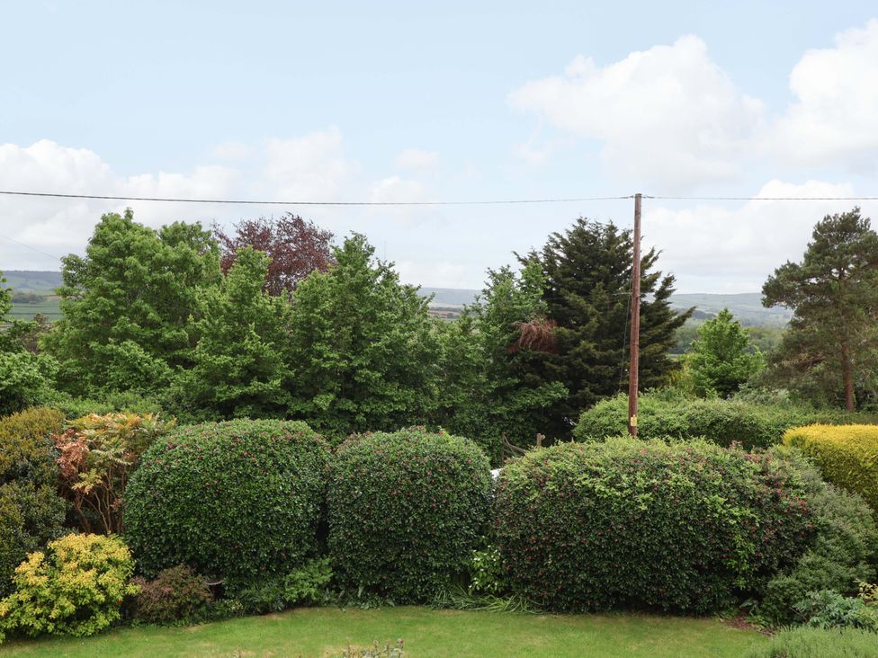 A view of greenery and trees at 26 Five Bells in Watchet