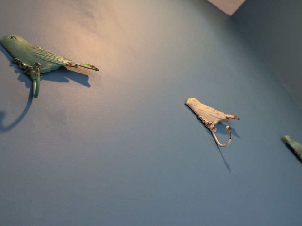 Decorative birds mounted on a blue wall at Hamilton's Studio in Ryde