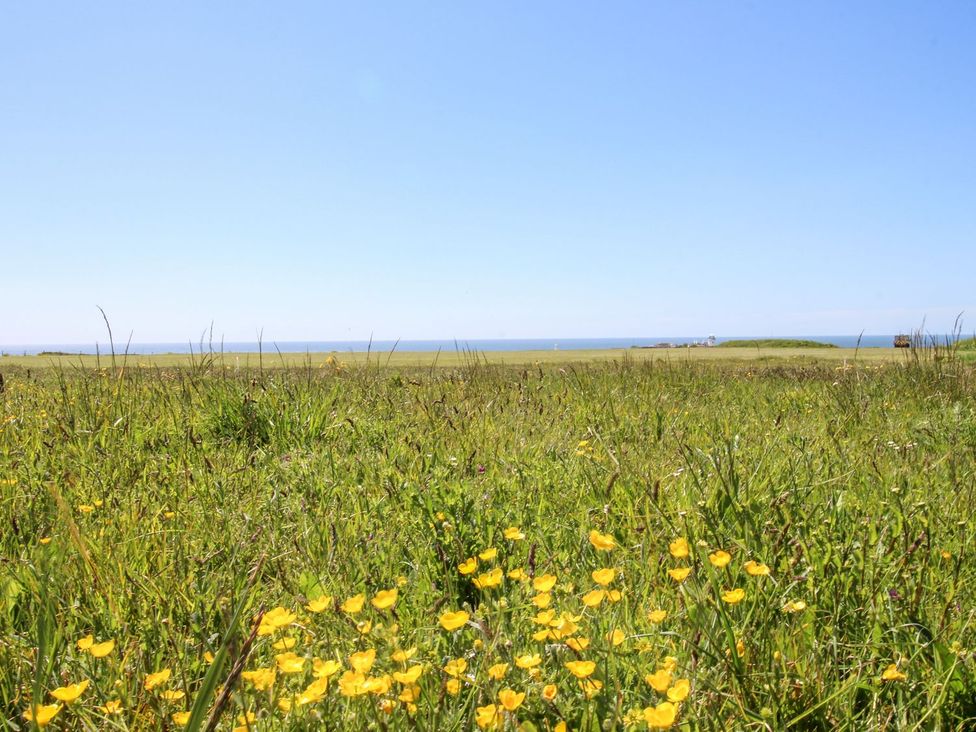 Portland View - Dorset - 1201975 - thumbnail photo 21