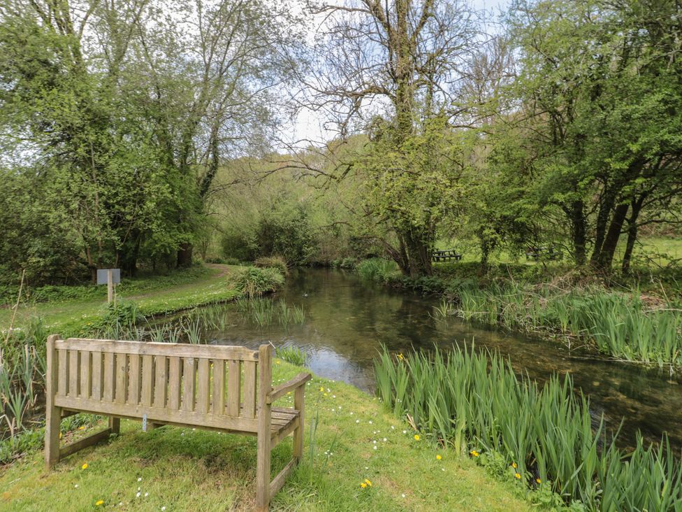 A bench near a river surrounded by trees and plants at Longfords Mill near Nailsworth