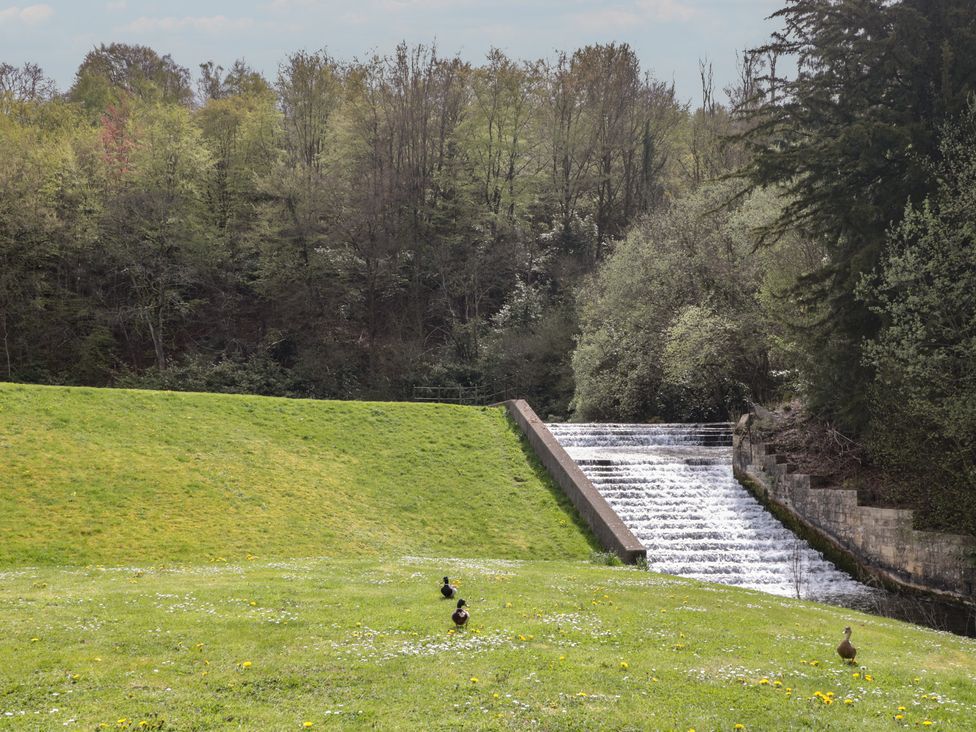 A river flowing over a dam with ducks on the grass at Longfords Mill near Nailsworth