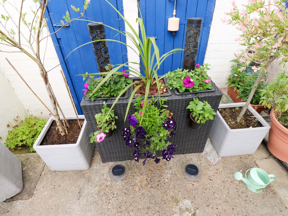 Planter with flowers and blue door at Saltaire House, Saltaire