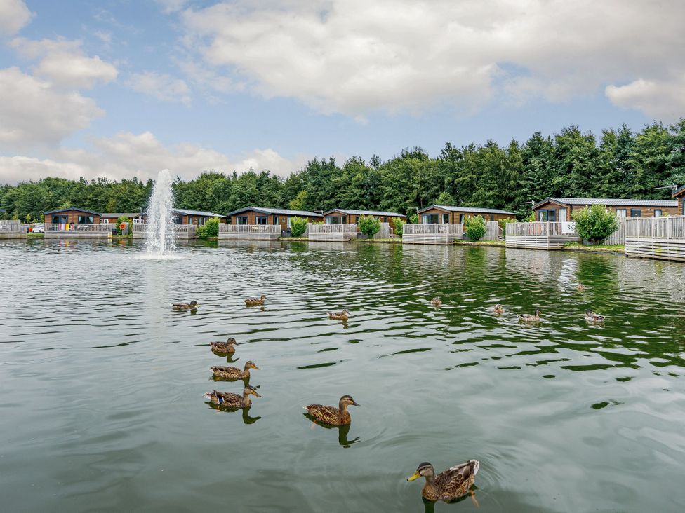 A lake with ducks and cabins at Pine Lodge Spa Carlton Miniott near Thirsk