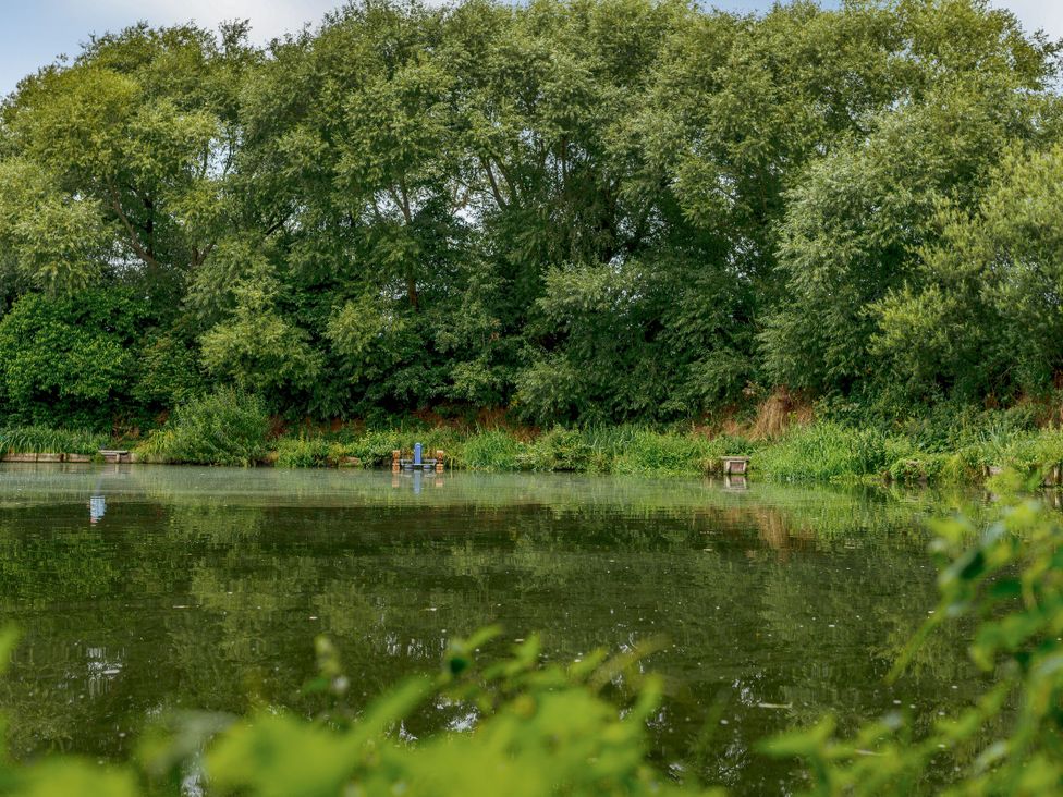 A pond surrounded by trees and grass at Pine Lodge Spa Pet Thirsk