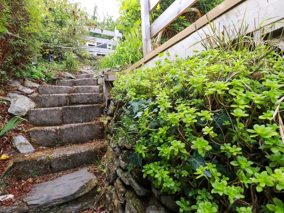 A pathway with stone steps and greenery at Dolphin Cottage in Falmouth