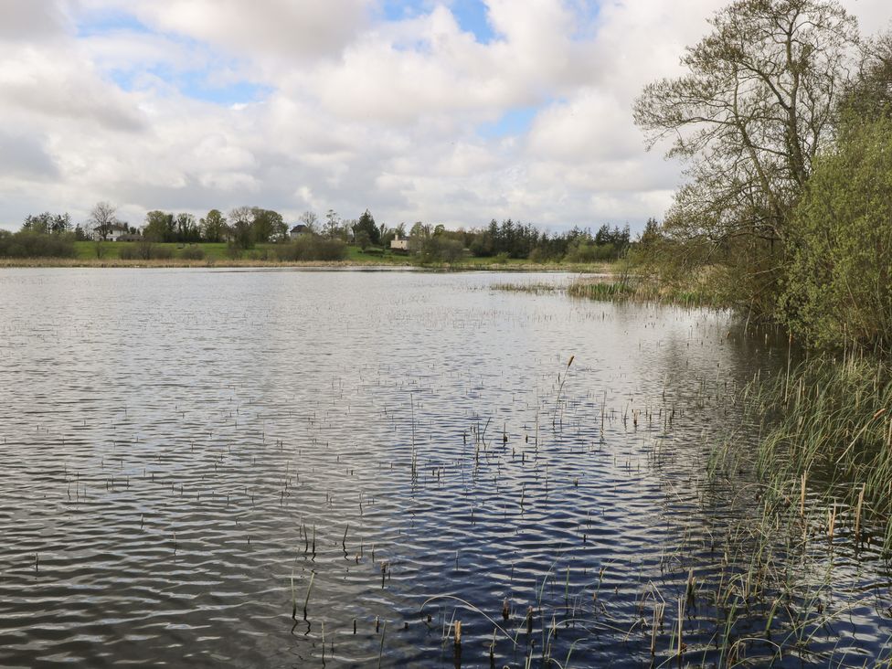 A lake surrounded by trees and grass at Sweetbriar Lodge in Castlerea