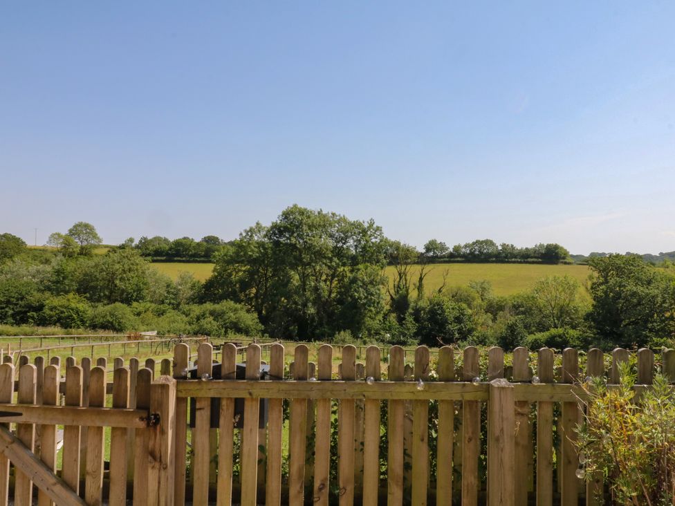 A view of a field and trees from a fenced area at Fieldstone Barn in North Tawton