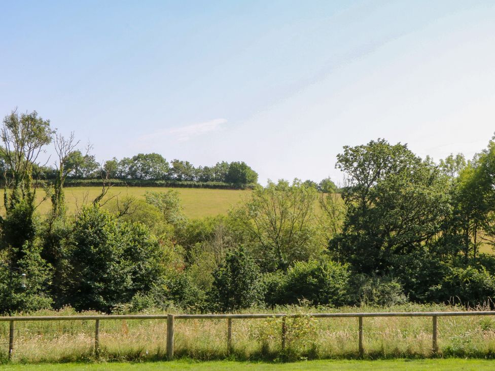 A view of trees and a field under a clear sky at Fieldstone Barn in North Tawton