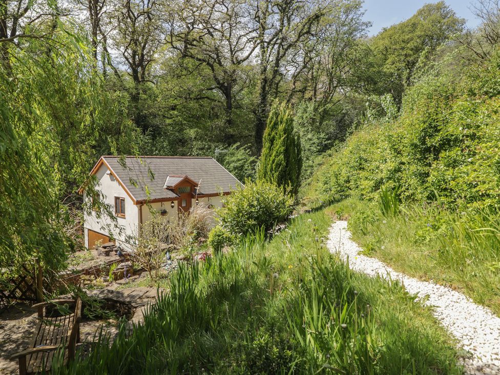 A house with a path surrounded by greenery at Cân adar in Llangeinor