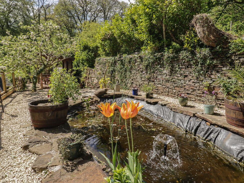 A garden with a pond and tulips at Cân adar in Llangeinor