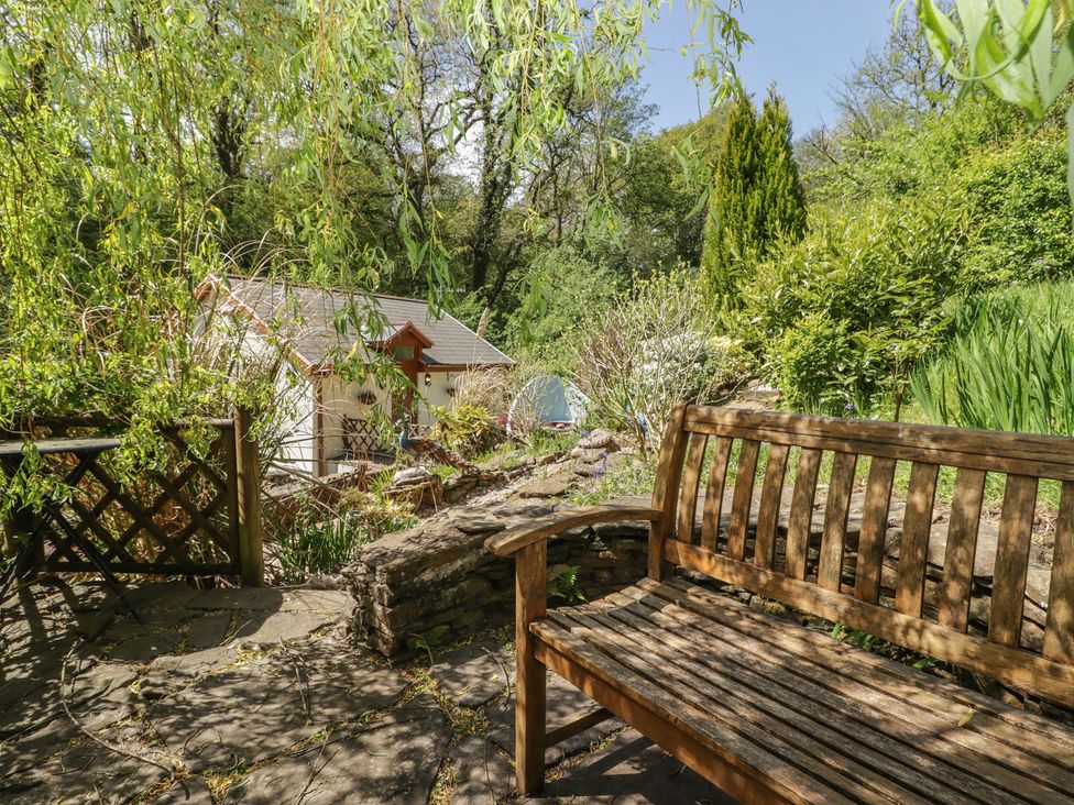 A garden with a wooden bench and plants at Cân adar in Llangeinor