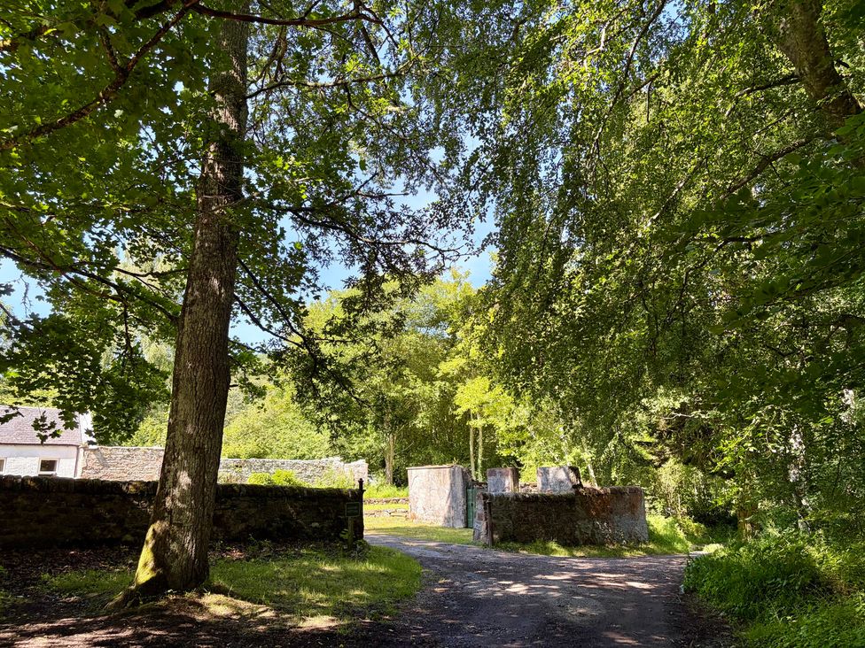 An outdoor scene with trees and a pathway at Laundry Cottage in Strathpeffer