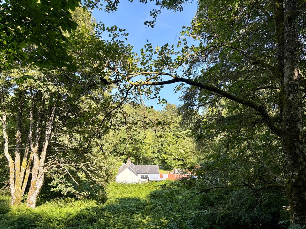 A house among trees with bushes in the foreground at Laundry Cottage in Strathpeffer