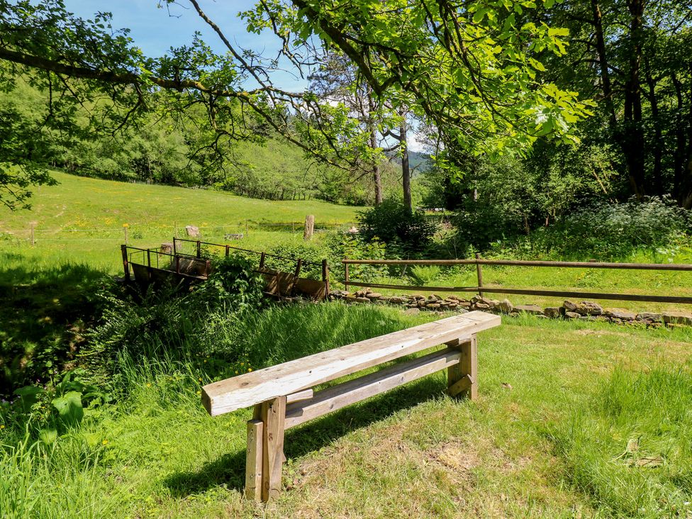 A bench overlooking a stream in an outdoor area at Daffodil Cottage near Blaencwm