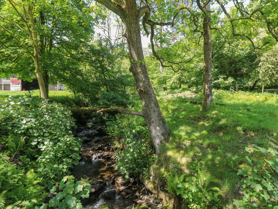 A stream flowing through trees beside grassy area at Daffodil Cottage Blaencwm near Treorchy