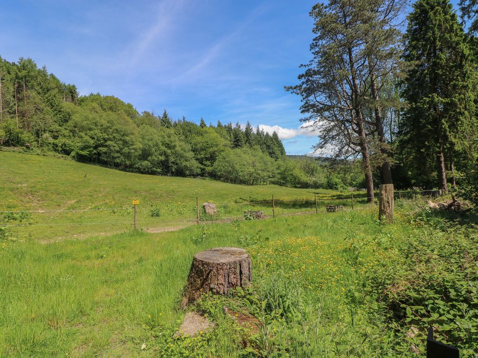 A meadow with green grass and a tree stump at Daffodil Cottage in Blaencwm near Treorchy